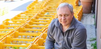 Test odmian kapusty białej do długiego przechowywania