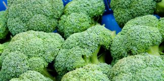 Brokuły na trasie Półmaratonu Unisławskiego