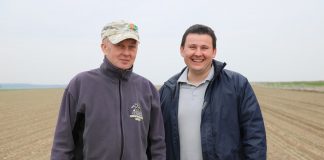 Specjalizacja kapustowate