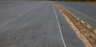 Ochrony marchwi i kapusty przed szkodnikami w otwartym gruncie