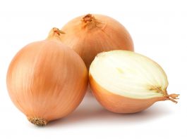 Odżywianie cebuli azotem – komunikat