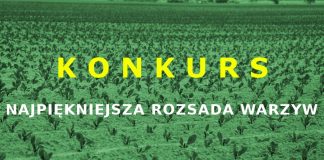 Pochwal się swoją rozsadą i zdobądź cenne nagrody. Ogłaszamy Konkurs.