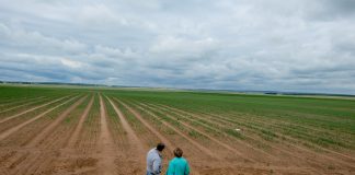 Onion Leader Tour – kierunek Białoruś, cz. III  – niestandardowe rozwiązania