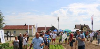 Sałata w polu – odmiany, technologie, zalecenia – Fotogaleria