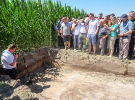 Uprawa bezorkowa także dla warzyw