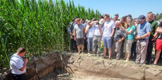 Uprawa bezorkowa także dla warzyw