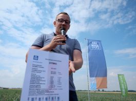 Uprawa cebuli z dymki – nawożenie. FILM