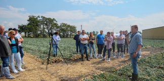 Uprawa cebuli z dymki – ochrona i zwalczanie chwastów. FILM