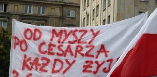 Protesty rolnicze w Polsce i w Europie mają jeden cel. Poprawę sytuacji ekonomicznej producentów żywności!