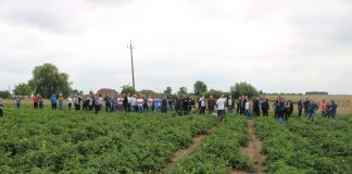 Agro Akademia Pomidorowa BASF 2018 w Starym Waliszewie