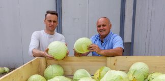 Długie przechowywania kapusty po dobrej ochronie