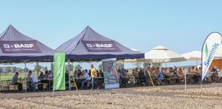 BASF finalizuje procedurę nabycia aktywów od firmy Bayer