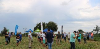 Spotkanie cebulowe na Kujawach