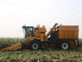 Zbiory kukurydzy super słodkiej kombajnem Oxbo 2475