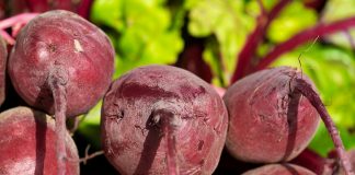 Odpowiedź KZGPOiW na apele