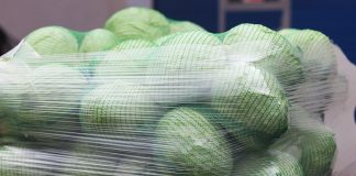 Niemiecki i kanadyjski rynek kapusty w dobrej kondycji