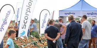 Cebulowy sezon 2018 – dwa filmy