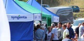 Charsznickie Dni Kapusty 2018 już za nami