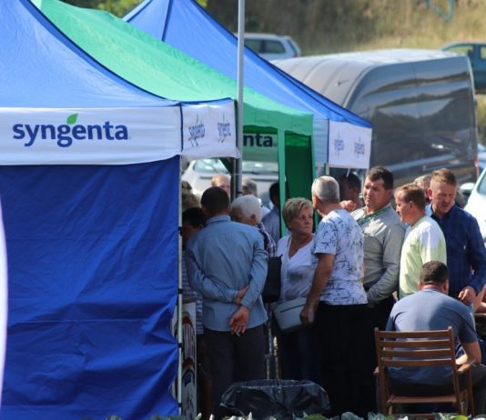 Charsznickie Dni Kapusty 2018 już za nami