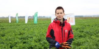 Ochrona marchwi. FILM