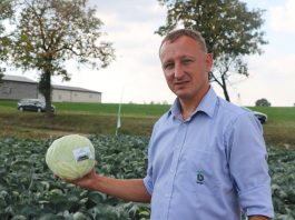 Nawożenie i odmiany kapusty. FILM