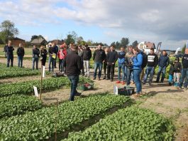 Dzień sałatowo-rzodkiewkowy pod Piotrkowem Trybunalskim – Fotogaleria