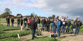 Dzień sałatowo-rzodkiewkowy pod Piotrkowem Trybunalskim – Fotogaleria