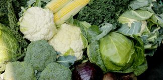 Warzywa i owoce najlepszą inwestycją w nasze zdrowie