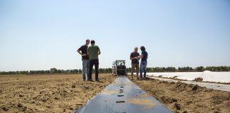 Ochrona roślin przed zachwaszczeniem