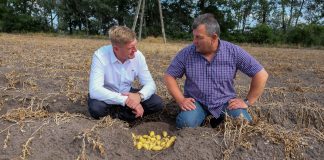 Jaki był sezon ziemniaczany 2018? Wnioski na kolejny rok. FILM