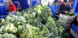 Konkurencja na rynku pracy. Czy grozi nam deficyt pracowników z Ukrainy?