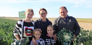 Kalafiory dla przemysłu w Chrzanowie (cz. I) – odmiany