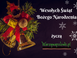 Magicznego Bożego Narodzenia!