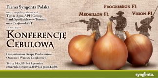 Konferencja cebulowa i praktyczne warsztaty – 3 stycznia 2019