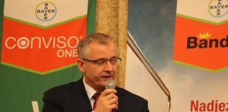 Bandur 600 SC – nowy w Polsce preparat do ochrony warzyw