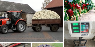 Konkurs DOBRA ROBOTA! Mamy wyniki