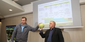 Kompleksowo o kapuście (cz. I) – rynkowe trendy