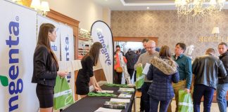 1 Pole – 2 Plony, czyli jak maksymalnie wykorzystać potencjał kalafiorów i brokułów