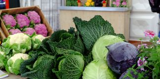 Program Platforma Żywnościowa zaczyna nabierać kształtu