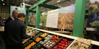 W co pakować warzywa?