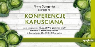 Dwie konferencje o kapustowatych w dwóch lokalizacjach