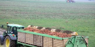 60 tys. zł. na restrukturyzację małych gospodarstw – wnioski do 29 marca