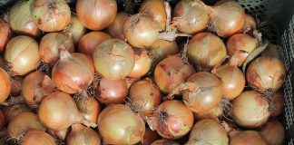 Tesco chce ograniczyć zużycie plastiku