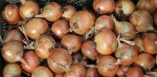 Rynek cebuli. Część II – świat.