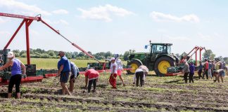 Kwarantanna dla pracowników sezonowych – co oznacza w praktyce