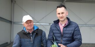 Krajowa włoszczyzna dostępna już wkrótce