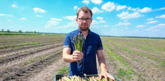 W osiemdziesiąt dni dookoła świata, czyli sezon szparagowy 2019 -oczami Włodzimierza Janusiewicza (Green River)