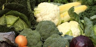 Jeden fungicyd chroni aż 60 gatunków warzyw