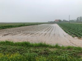 System ubezpieczeń rolnych wymaga reformy. Propozycje zmian