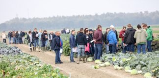 Demonstracje w gospodarstwach rolnych w Europie